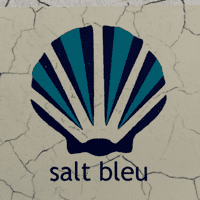 salt-bleu-logo-square